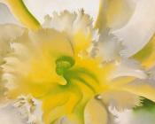 乔治亚 奥基夫 : An Orchid